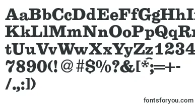 E710RomanBold font – Fonts Starting With E