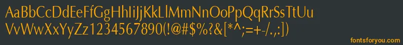 フォントOptimaH80 – 黒い背景にオレンジの文字