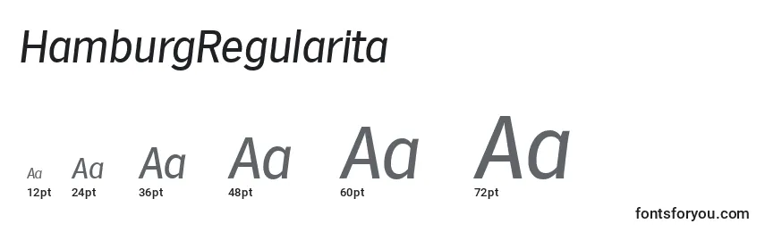 Размеры шрифта HamburgRegularita