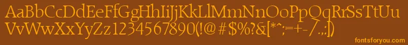 RaleighLight Font – Orange Fonts on Brown Background