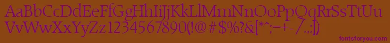RaleighLight Font – Purple Fonts on Brown Background
