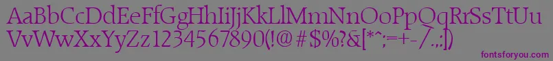 RaleighLight Font – Purple Fonts on Gray Background