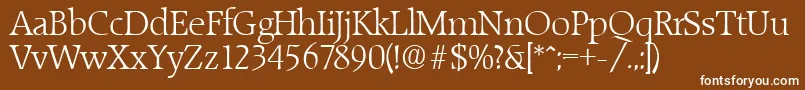 RaleighLight Font – White Fonts on Brown Background