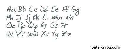 VockelRegular Font
