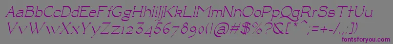 LuisaItalic-fontti – violetit fontit harmaalla taustalla