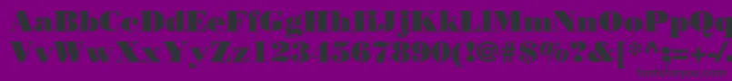 BodoniLtPoster Font – Black Fonts on Purple Background