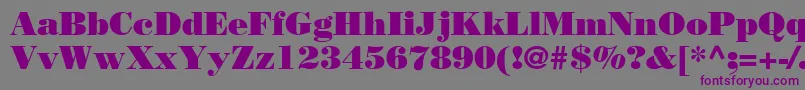 BodoniLtPoster-Schriftart – Violette Schriften auf grauem Hintergrund