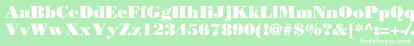 BodoniLtPoster Font – White Fonts on Green Background