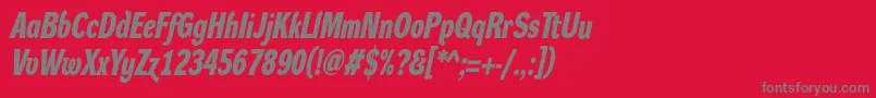 DynagroteskdcBolditalic Font – Gray Fonts on Red Background