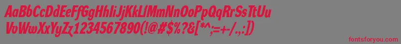 More about DynagroteskdcBolditalic Font DynagroteskdcBolditalic Font – Red Fonts on Gray Background