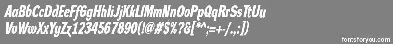 DynagroteskdcBolditalic Font – White Fonts on Gray Background
