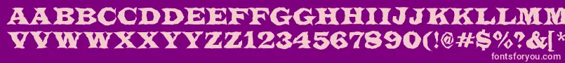 LatinotitulbrRegular Font – Pink Fonts on Purple Background