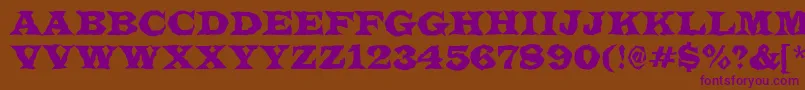 LatinotitulbrRegular Font – Purple Fonts on Brown Background