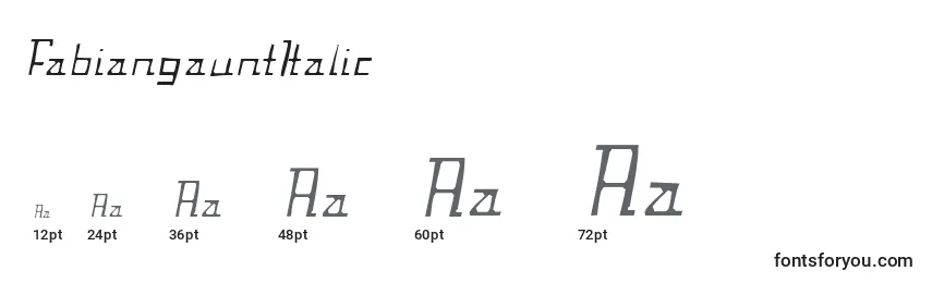 FabiangauntItalic Font Sizes