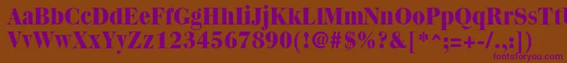 QuantasExtraboldRegular Font – Purple Fonts on Brown Background