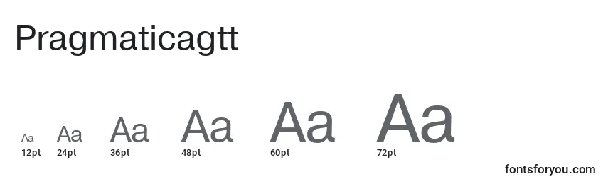 Размеры шрифта Pragmaticagtt