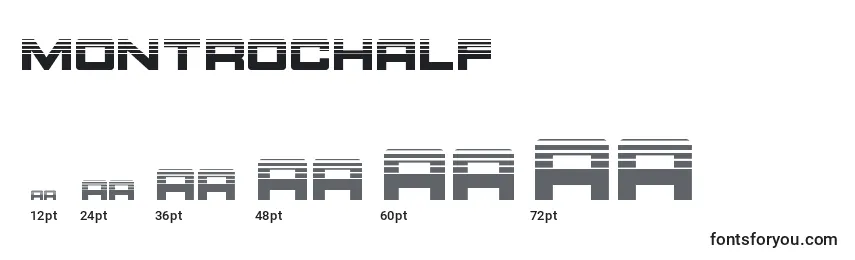 Montrochalf Font Sizes