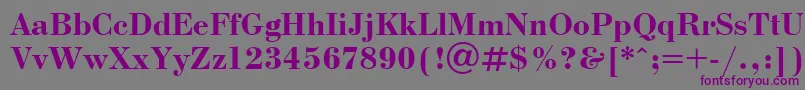 UkrainianbodoniBold Font – Purple Fonts on Gray Background