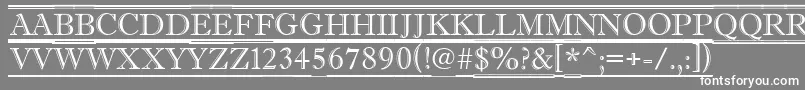 Antiqu2 Font – White Fonts on Gray Background