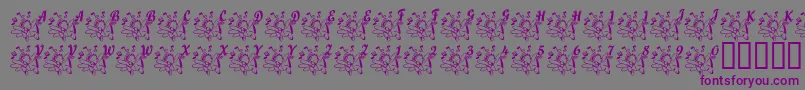 LcrJoyfulNoise Font – Purple Fonts on Gray Background