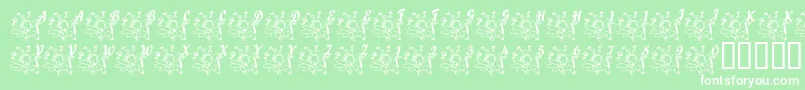 LcrJoyfulNoise Font – White Fonts on Green Background