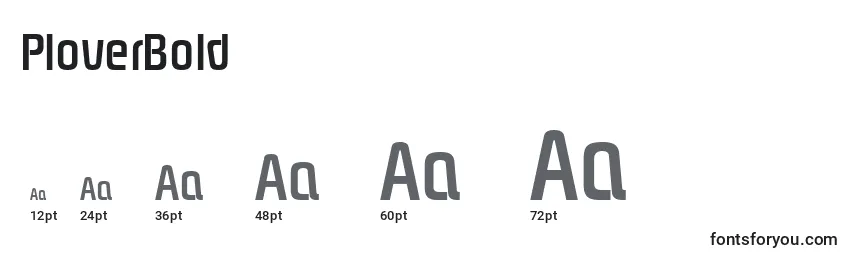 PloverBold Font Sizes