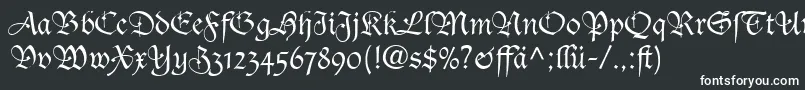 TudorScriptLightSsiLight Font – White Fonts on Black Background