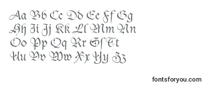 Überblick über die Schriftart TudorScriptLightSsiLight