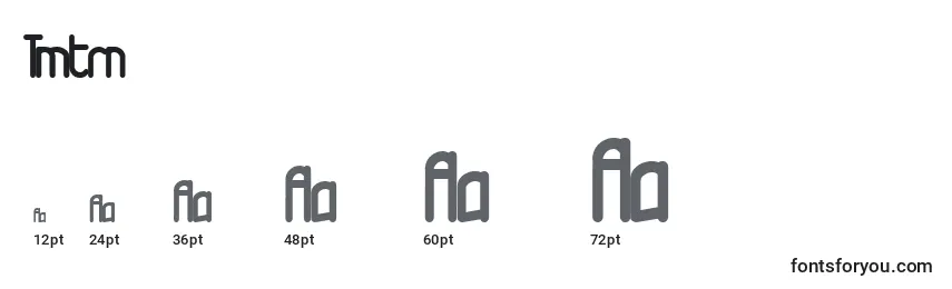 Tmtrn Font Sizes