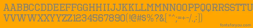 OctinsportsrgRegular Font – Gray Fonts on Orange Background