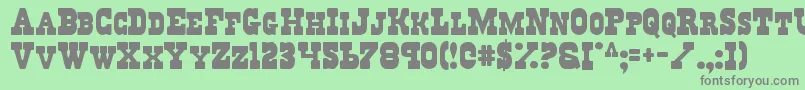 Regv2 Font – Gray Fonts on Green Background