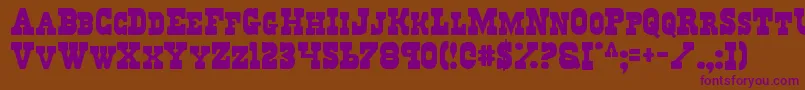 Regv2 Font – Purple Fonts on Brown Background