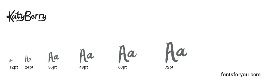 KatyBerry Font Sizes
