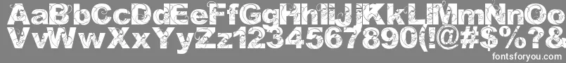 フォントOrialBold – 灰色の背景に白い文字