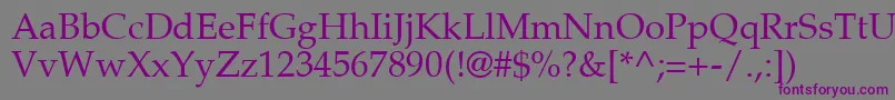 PalatinoRoman-fontti – violetit fontit harmaalla taustalla