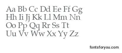 PalatinoRoman Font