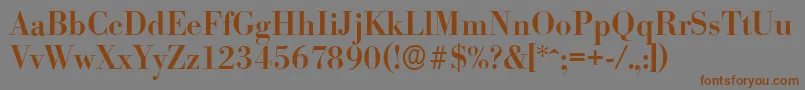 BodoniserialMediumRegular Font – Brown Fonts on Gray Background