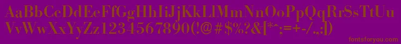 BodoniserialMediumRegular Font – Brown Fonts on Purple Background