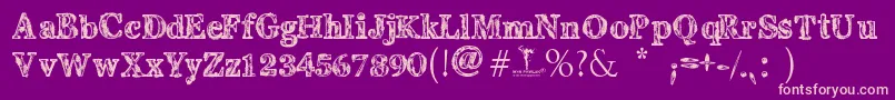 CoralOxid Font – Pink Fonts on Purple Background