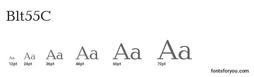 Blt55C Font Sizes