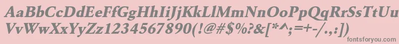 UrwgaramondtextbolOblique Font – Gray Fonts on Pink Background