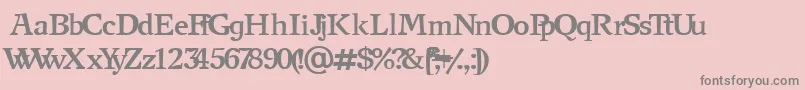 NewjournalCyrillicBold Font – Gray Fonts on Pink Background