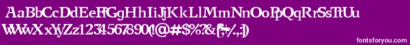 NewjournalCyrillicBold Font – White Fonts on Purple Background