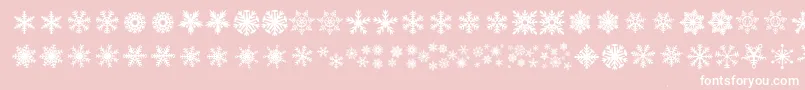 Police DhSnowflakes – polices blanches sur fond rose