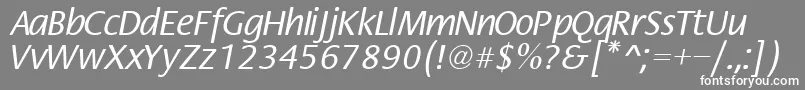 フォントFiestaNormal – 灰色の背景に白い文字