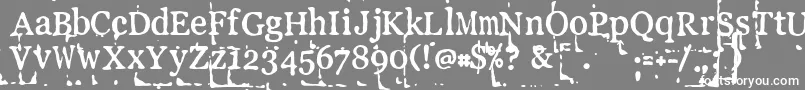 フォントLlpebl – 灰色の背景に白い文字