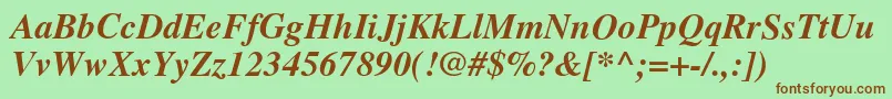 TimesBolditalic Font – Brown Fonts on Green Background