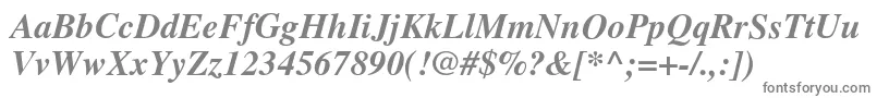 TimesBolditalic Font – Gray Fonts on White Background