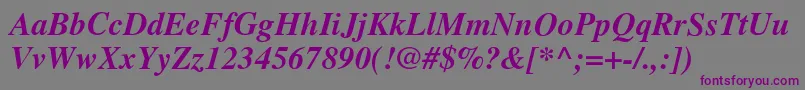 TimesBolditalic Font – Purple Fonts on Gray Background
