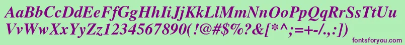 TimesBolditalic Font – Purple Fonts on Green Background